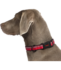 COA HC004 HALTI Collar Red X-Small