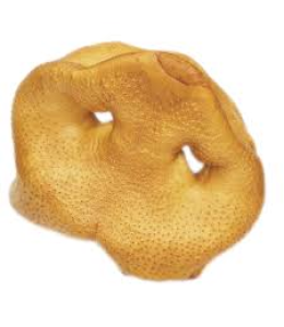 Red Barn  Pig Snouts Wrapped & Tagged 2 oz 5 COUNT - PACK OF 3