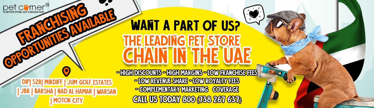 Best Deals on Pet Food Dog and Cat Products Value Pets Global