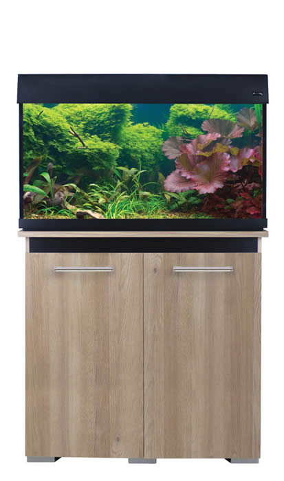 Aqua One AquaVogue Cabinet 135  80wx42dx50cm  Nash Oak With Black NEW STYLE-CABINET ONLY