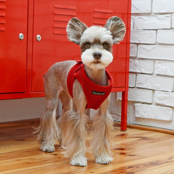 PUPPIA SOFT VEST HARNESS B YELLOW M 14.6'-15.4"