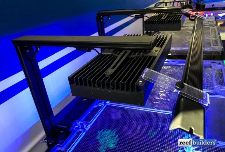 Illumagic Vitamini Acrylic Clips