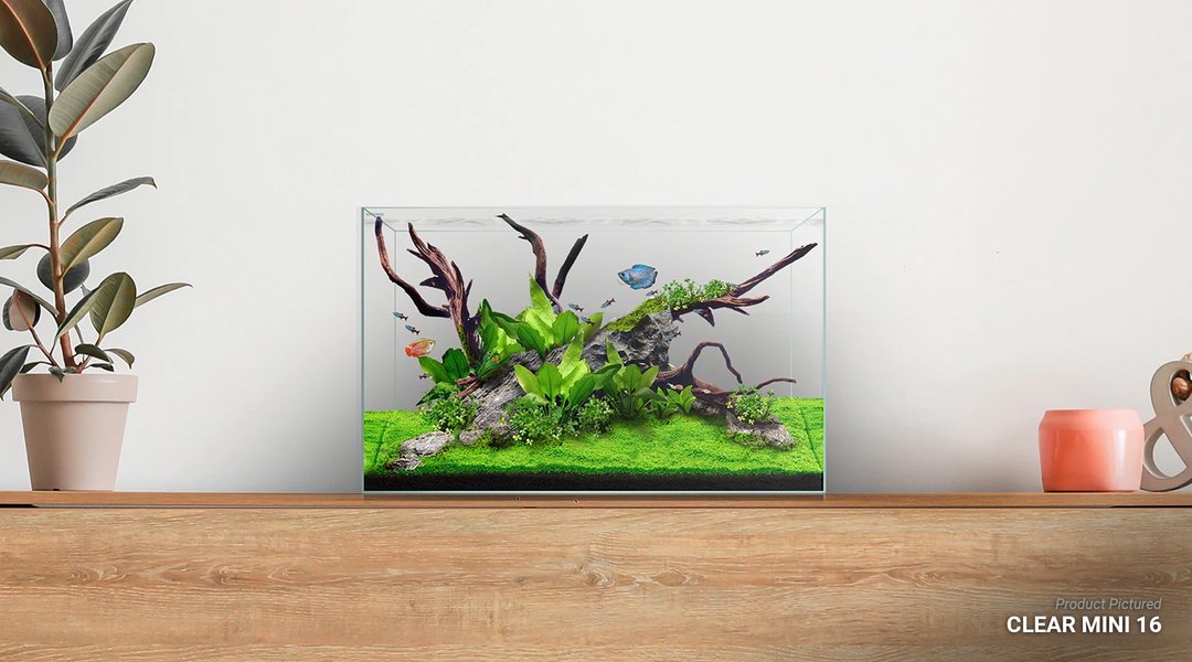 Waterbox Clear MINI 30 L 60 Cm W  45 Cm H 45 Cm