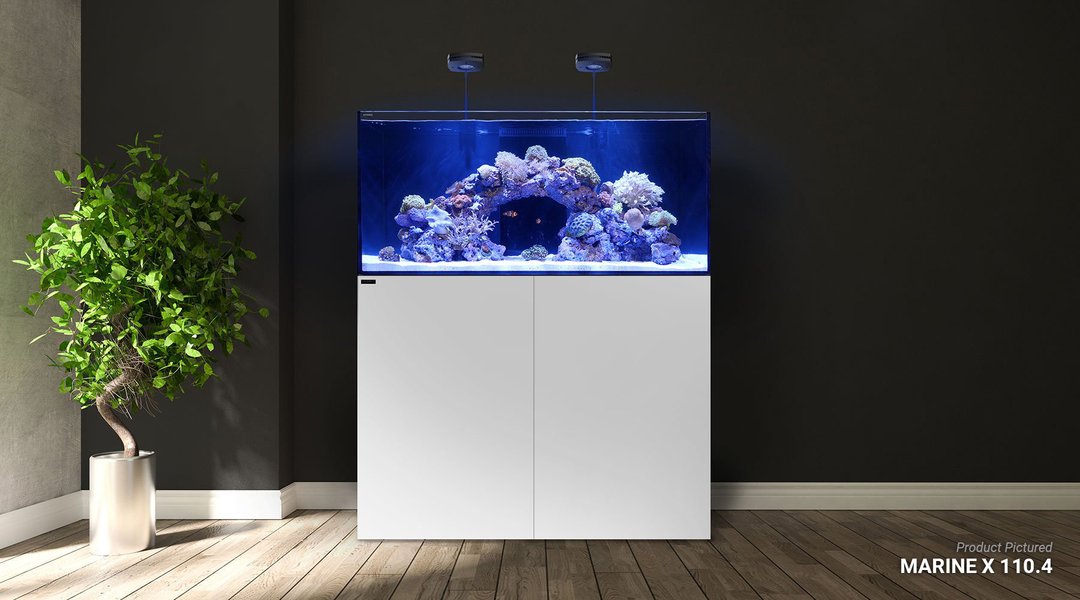 Waterbox Marine X 60.2 White L 60 Cm W  50 Cm H 50 Cm