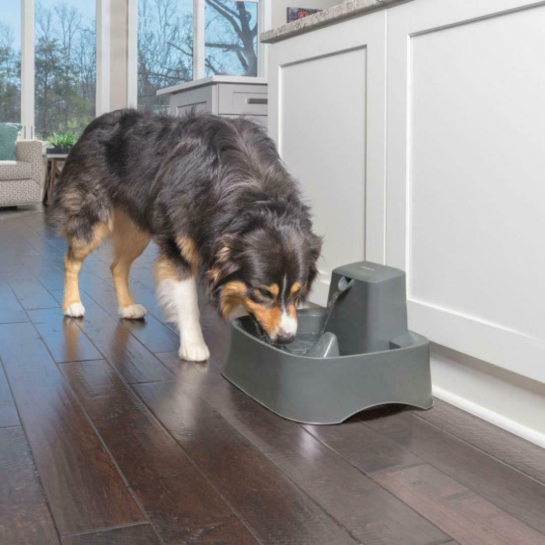 PetSafe Drinkwell Dog Cat Pet Fountain - 7.5 Litre, Automatic Flowing Water Bowl(1BOX-4)